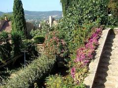 183 D24 BORMES LES MIMOSAS 2_000011